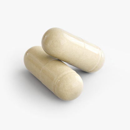 J. Paulo Gut Health & Digestive Support — Probiotics, Prebiotics & Digestive Enzymes